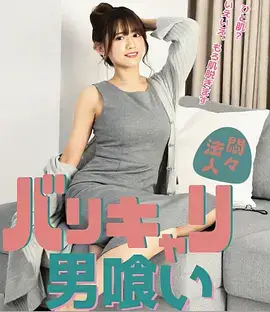 风起长安剧集封面